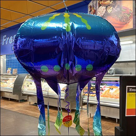 Giant Sea Creature Inflatable Props