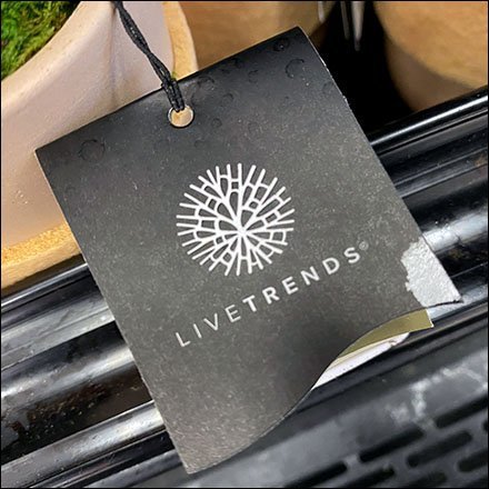 LiveTrends Floral Footnote Display