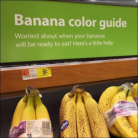 Banana Color Ripeness Ratings Right at Hand