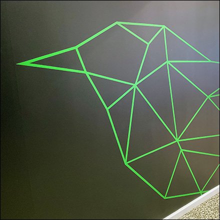 Wren Line Art Logo Rendering Fills a Wall