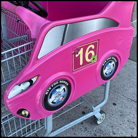 Pink Girls Racing Shopping Cart Is Pro Series