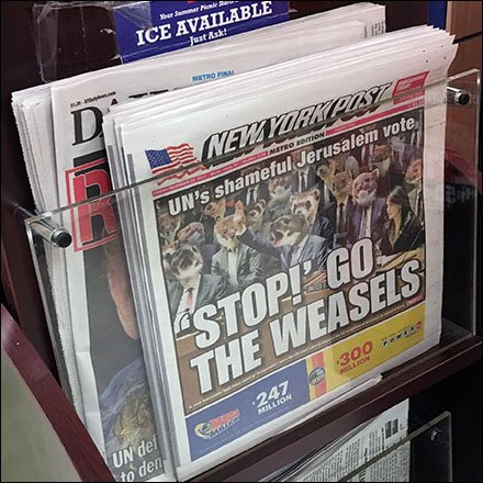 Wind-Resistant Mobile Newspaper Rack Stands Up To Abuse