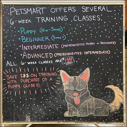 PetSmart Multi-Level Training Classes Sidewalk Sign Reaches Out