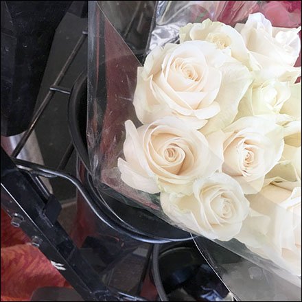Store Entry Fresh Flower Rack Is Ring Hook Outfitted