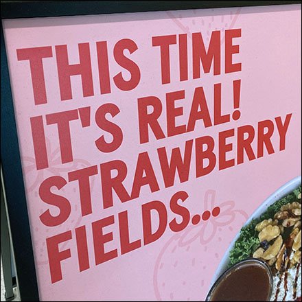 Root & Sprig Real Strawberry Fields Sidewalk Sign