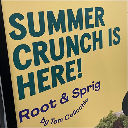 Root & Sprig Crisp Summer Crunch Salad Sidewalk Sign