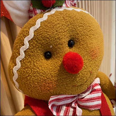 Root & Sprig Cookieman Welcome Mascot Drops a Hint