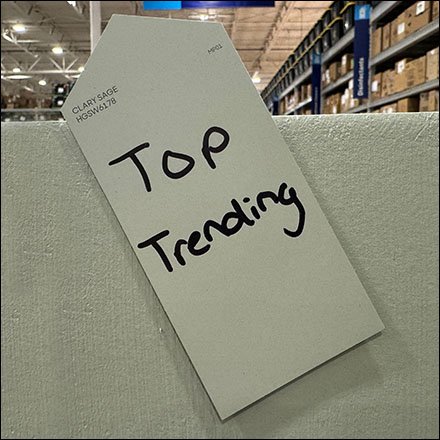 Top-Trending Color Paint Samples On Display