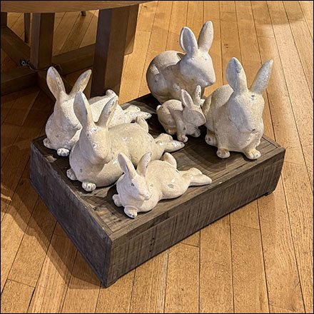 Rabbit Infested Plant Display Propping