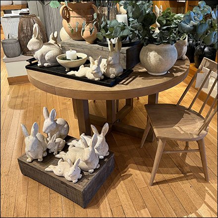 Rabbit Infested Plant Display Propping