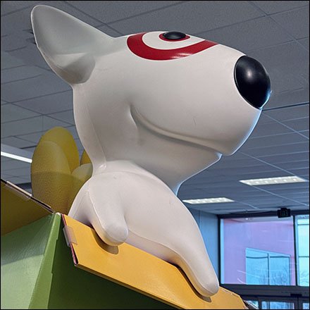 Bullseye Pops Out Playfully