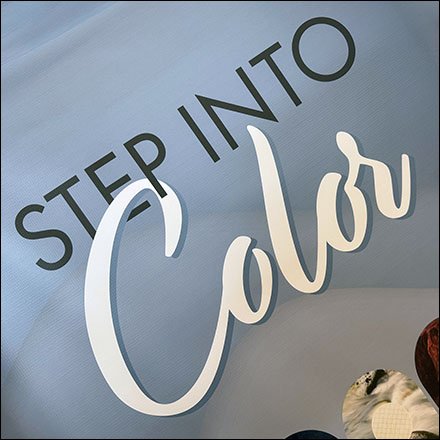EnVision Step Into Color Carpet Banner Promotion