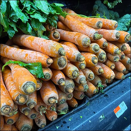 Field Fresh Carrots Add Color To Greens
