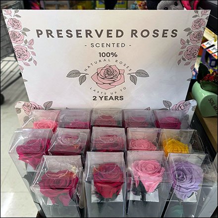 Preserved Natural Scented Roses Display Is Tantalizing