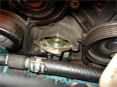 How To Remove The Water Pump Housing On A 1998 Ford Escort Zx2 1998 Ford Escort.