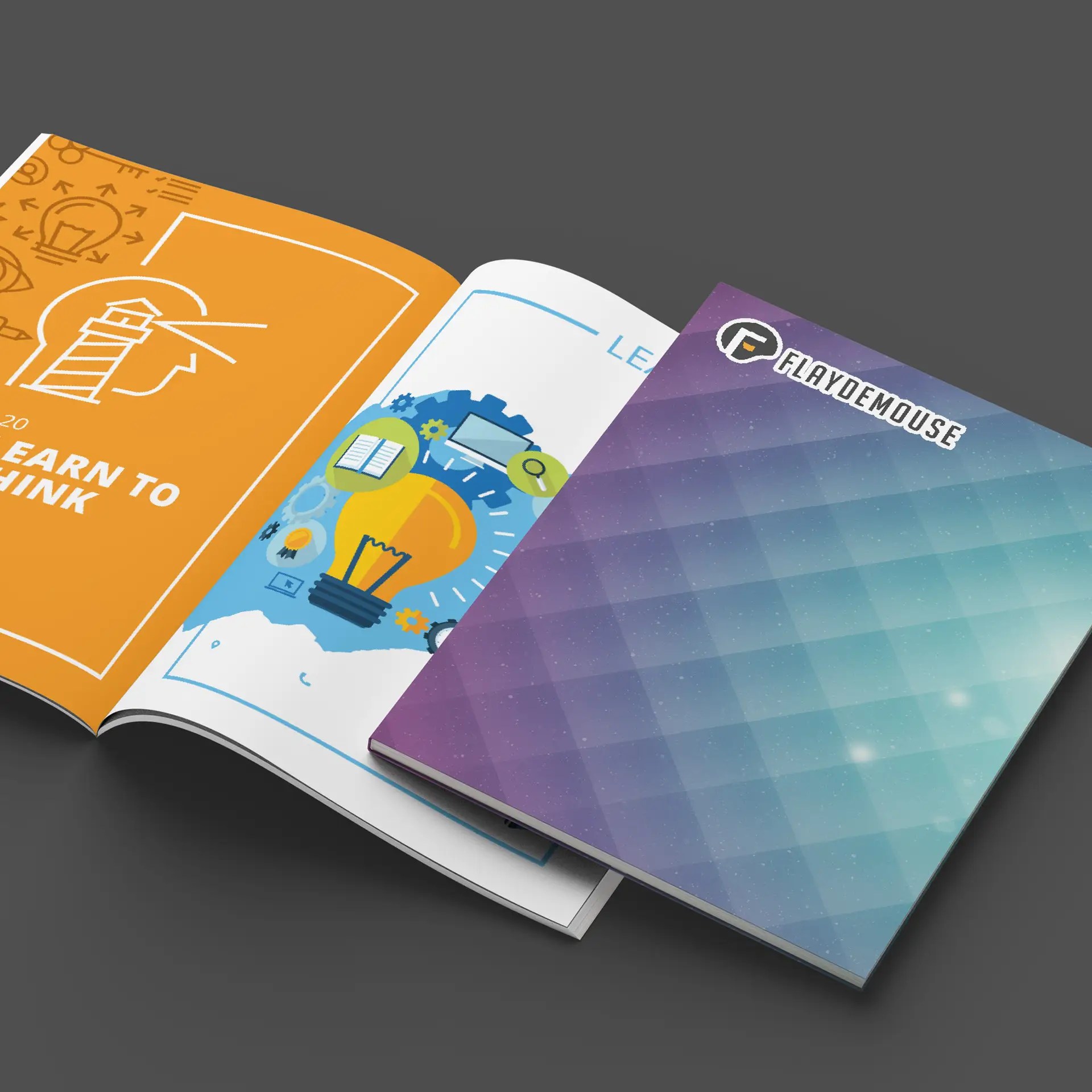 Flaydemouse Brochures