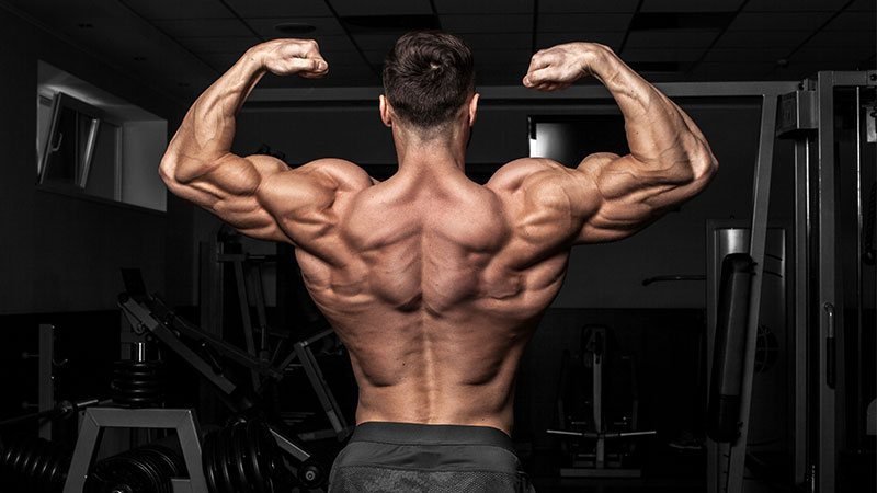 Split-Training