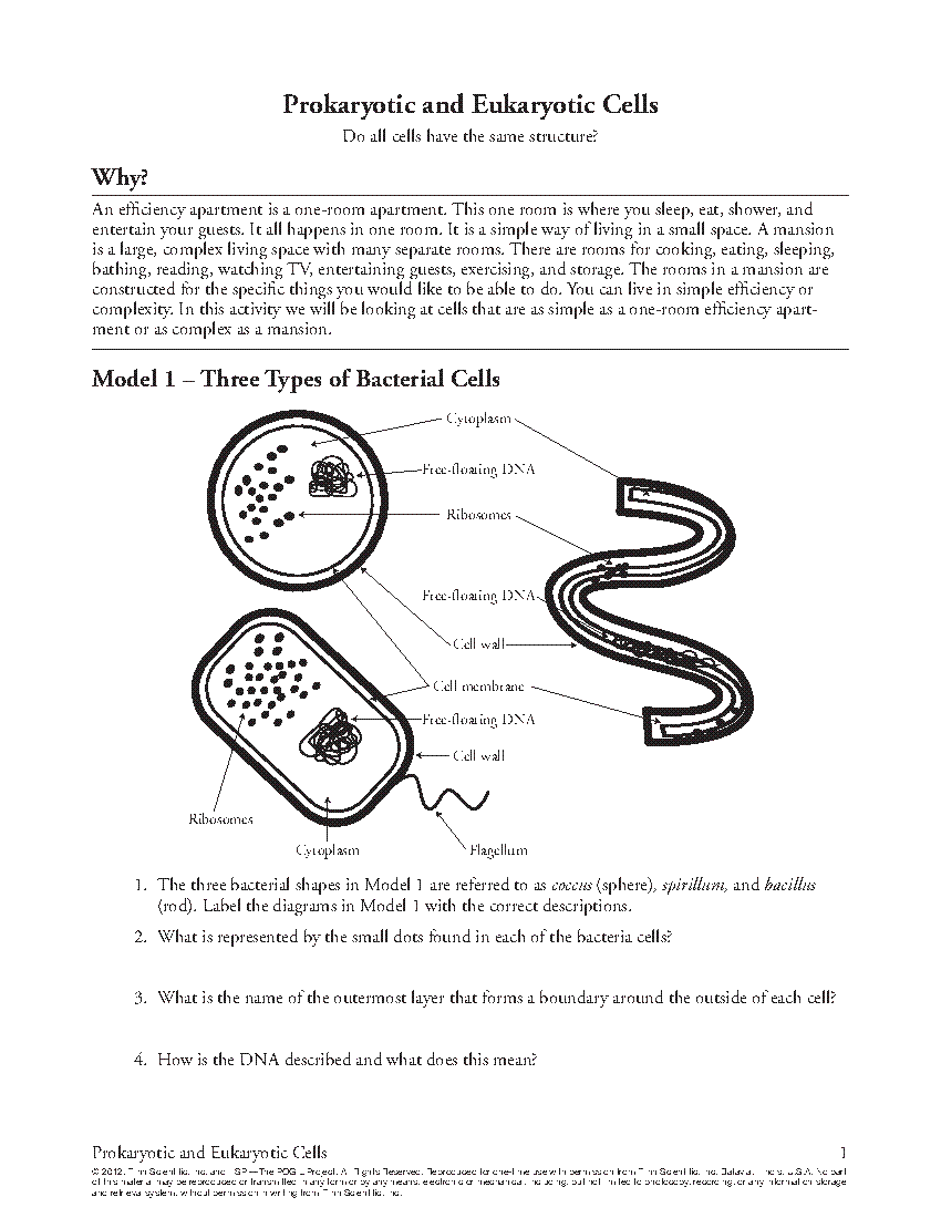 Classifying types of chemical reactions. POGIL Activities for High School Biology Sample Activity