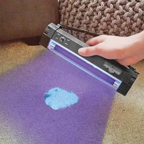 Best black light for finding cat urine