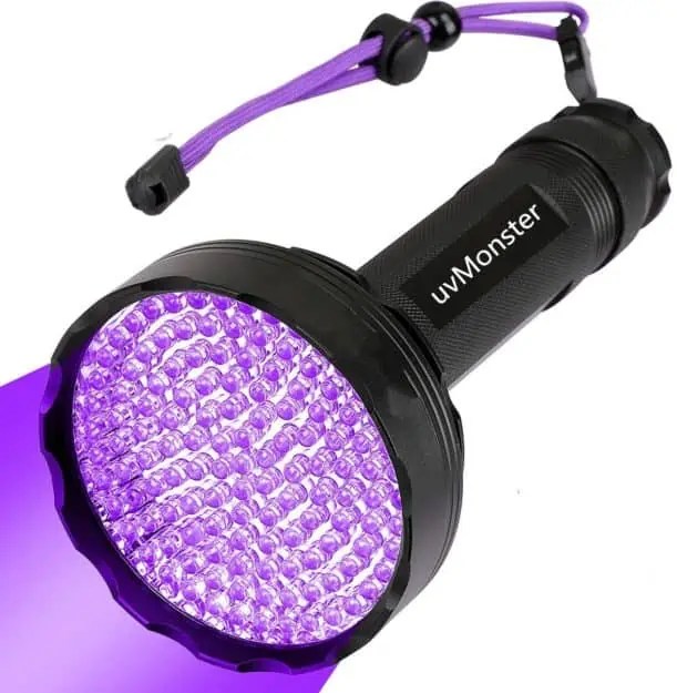 Best black light for finding cat urine