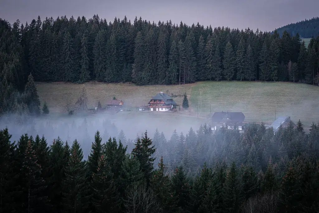 Morgenstimmung im Schwarzwald (Fuji X-T5 mit Voigtländer Apo Skopar 90mm F2.8)