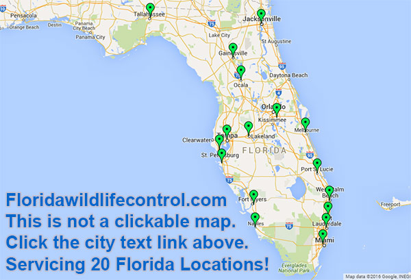 Florida Wma Locations Map 
