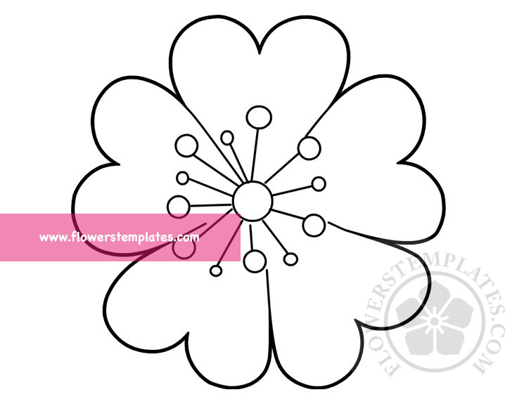 Spring cherry blossom flower - Flowers Templates