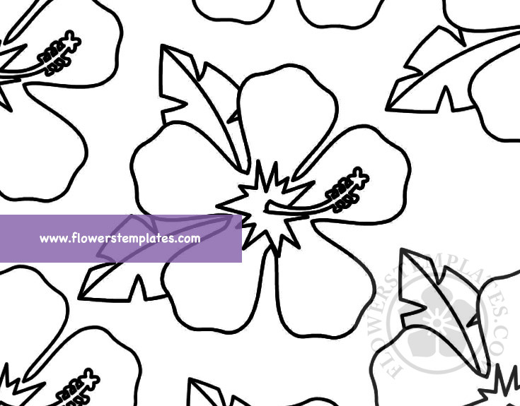 Hibiscus flower pattern - Flowers Templates