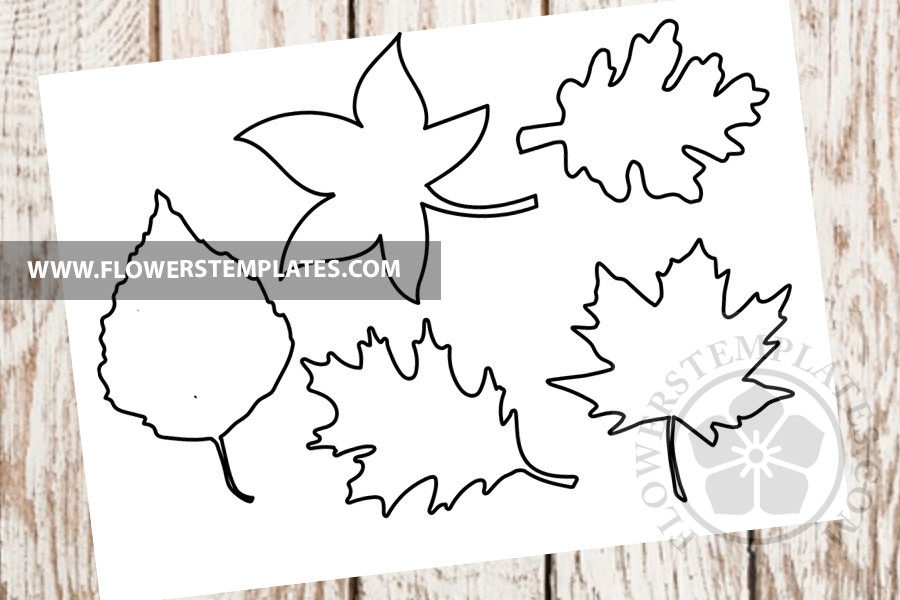 Fall leaves set printable - Flowers Templates