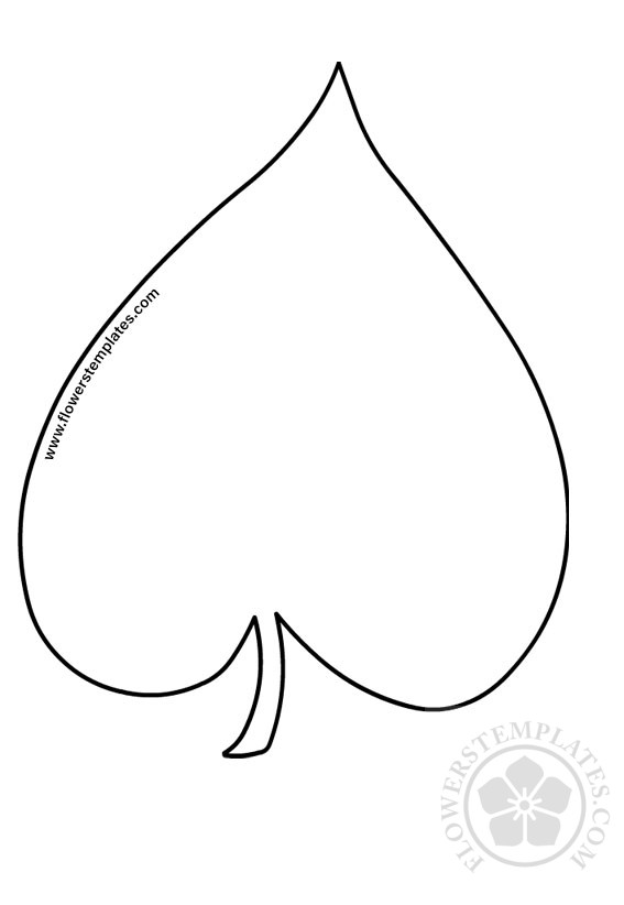 Lime tree leaf - Flowers Templates