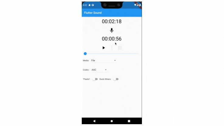 Read more about the article Flutter Sound Recorder and Player Example