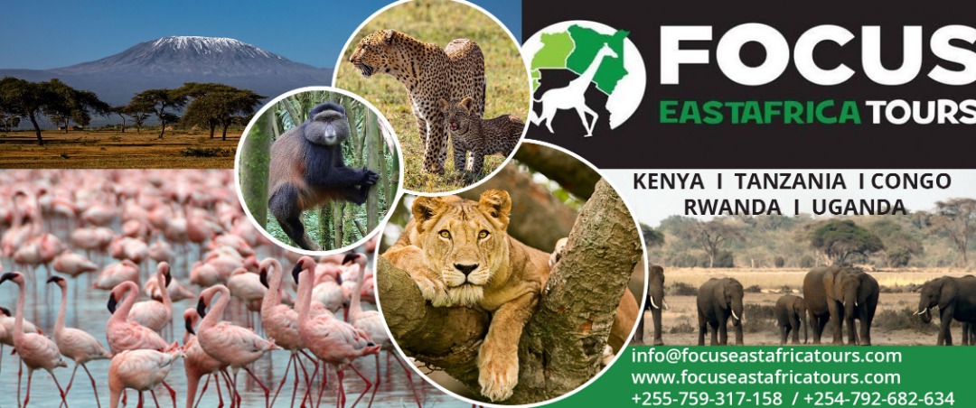 Affordable Honeymoon Safaris Serengeti Honeymoon Safaris