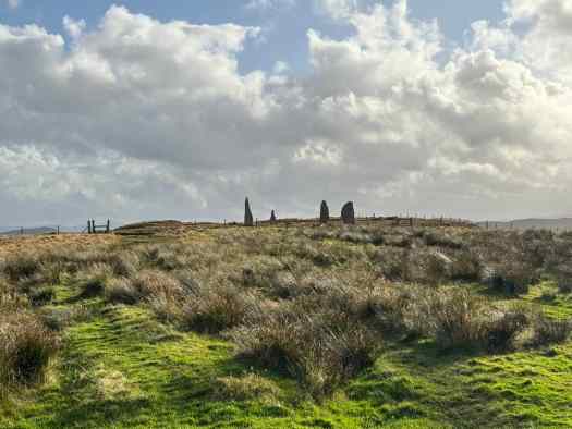 Soggy terrain on the way to an ancient circle