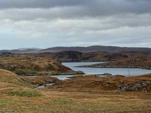 Beautiful landscape