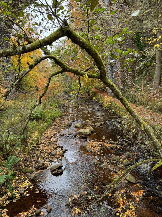 Golspie Burn waterfall and gorge