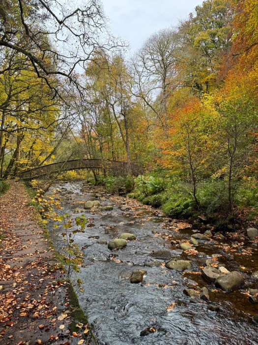 Golspie Burn waterfall and gorge