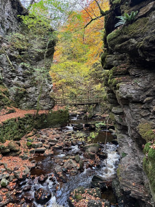 Golspie Burn waterfall and gorge