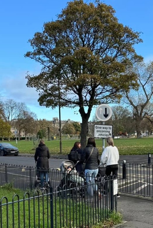 Mother's out for a stroll in the park