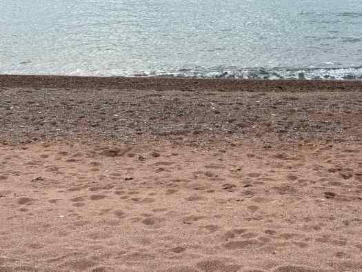  Coarse sand 