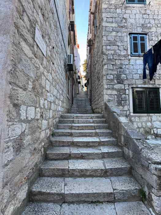Explore the many steps