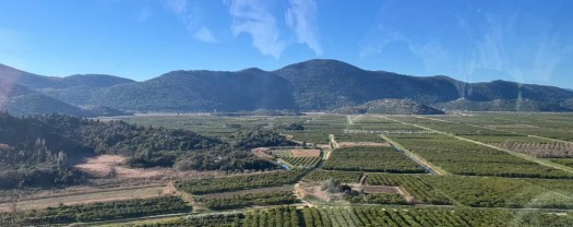 Beautiful farming fields near Metkovic