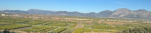 Farm area