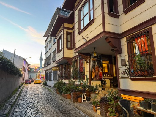 Walking street view