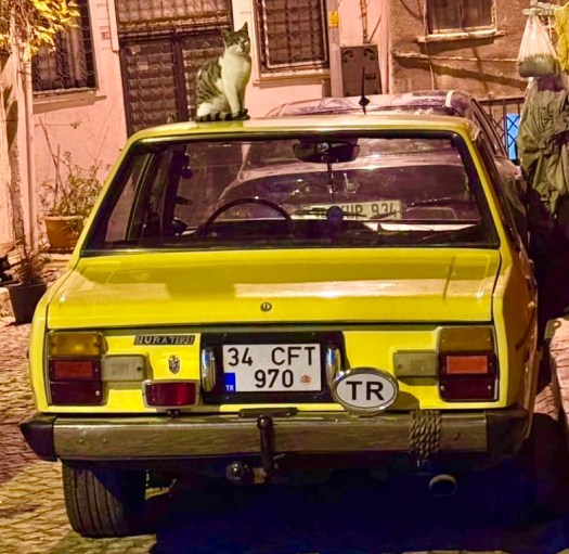 Cats control the cars