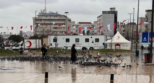 Pigeon feeding