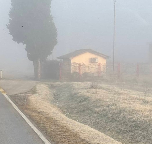 Foggy countryside