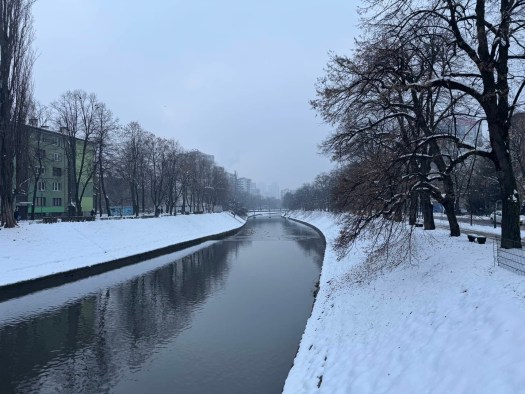 Snowy River bank