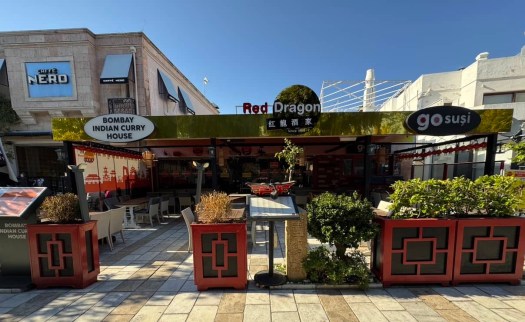 Various Asian food in Bodrum