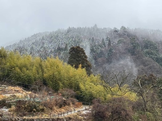March view