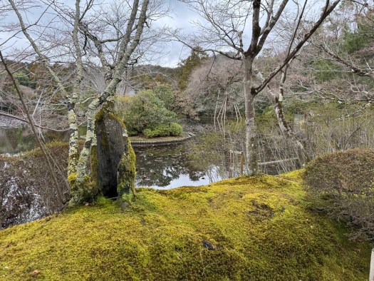 Ryoanji Gardens